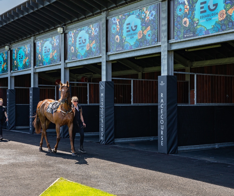 MusselburghRace's tweet image. 2️⃣ weeks to go until the Scottish Season Flat Finale 🏴󠁧󠁢󠁳󠁣󠁴󠁿🏇

2023 Championship standings👇🏻

OWNERS @MprUpdates 8 wins
TRAINERS @JimGoldieRacing 12 wins
JOCKEY @PMulrennan 9 wins
BEST TURNED OUT YARD @JimGoldieRacing 14 wins

Book your tickets 🎟️🔗 bit.ly/3ZBy4WI