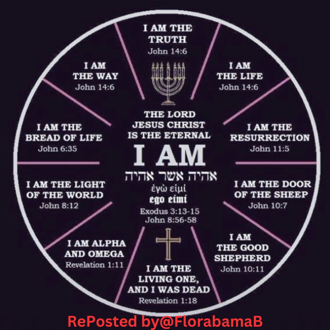 FlorabamaB's tweet photo. Today is a great day to give your life to Jesus! He is the great “I AM”! He is alive and coming soon to rapture His church, His bride, His children. Praise be to the King of Kings and Lord of Lords for another chance to be His today. He doesn’t disappoint! 🙏❤️#JesusIsTheMessiah https://t.co/jqdMJpMQ9n