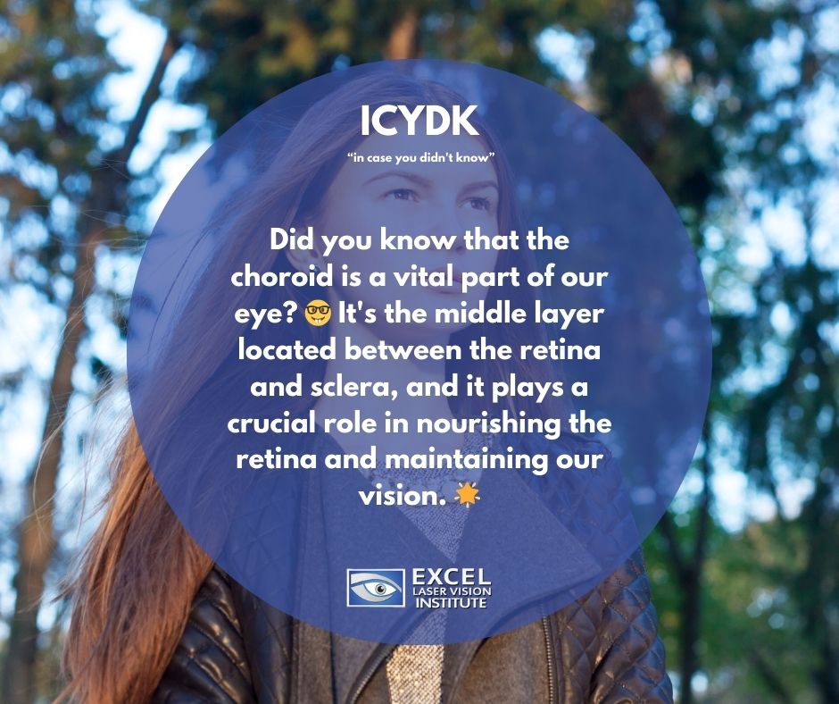Excel_Eye's tweet photo. Did you know that the choroid is a vital part of our eye? π€ It's the middle layer located between the retina and sclera, and it plays a crucial role in nourishing the retina and maintaining our vision. π
#funeyefacts #incaseyoudidnotknow #incaseyoudontknow https://t.co/5HDh2weNQu