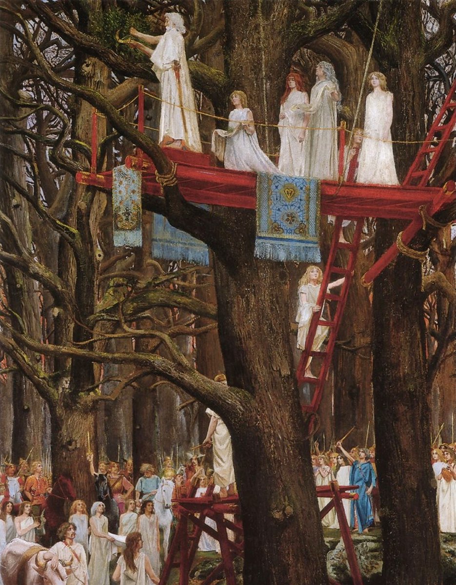 sonofaelfred's tweet photo. The Ritual of Oak and Mistletoe.

Druids would climb a sacred oak tree to cut down the mistletoe growing on it. Two white bulls would then be sacrificed and the mistletoe would be used to make an elixir that was believed to be a cure for both infertility and poison. https://t.co/y2yMZC2wsh