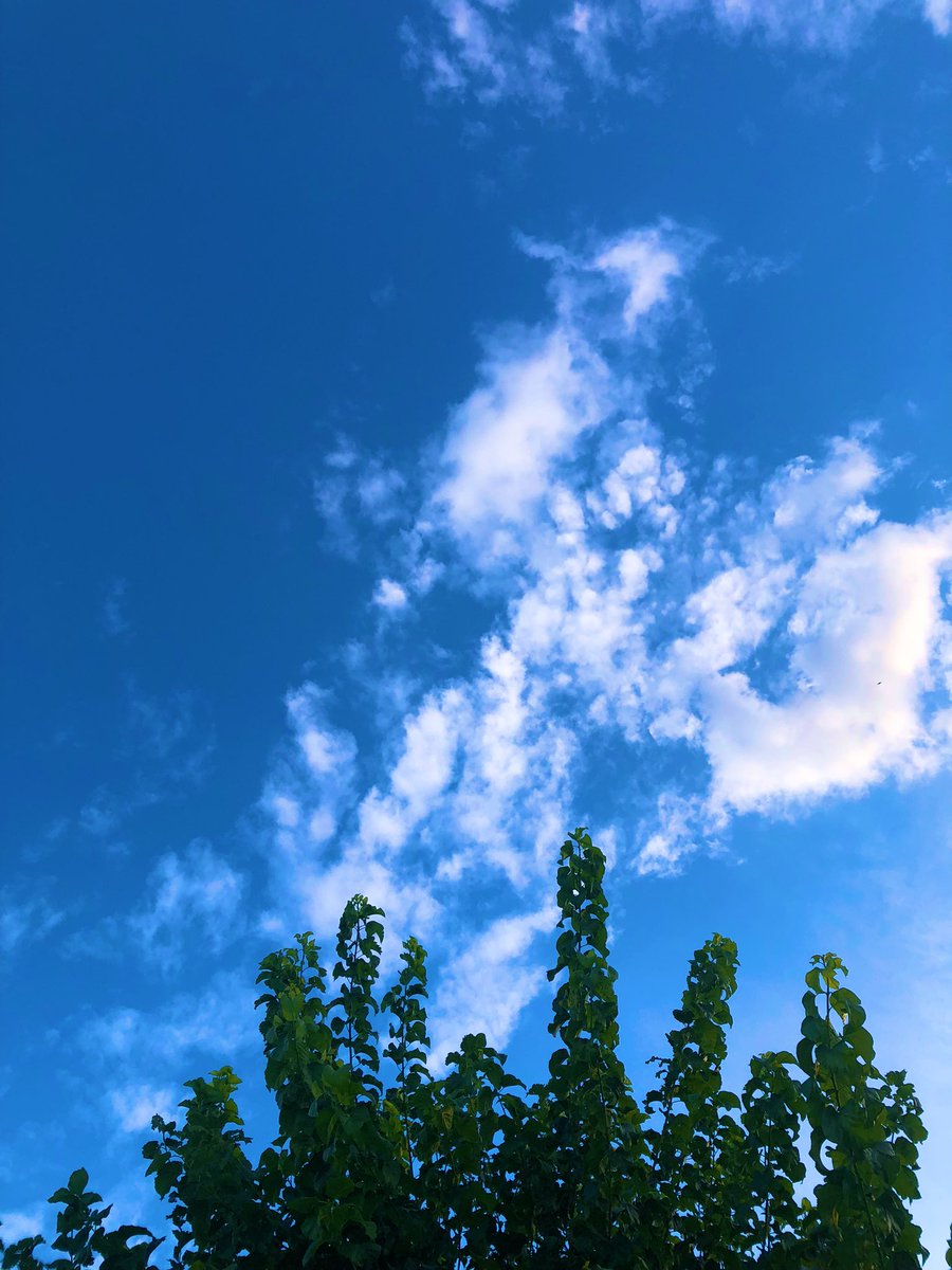 Tree 🌳 Sky 🌠 Clouds ☁️ 

#sky #bluesky #cloud #clouds #tree #treepeople #nature #photographer #photo #MyPhoto #photographylovers #goodnight #PhotographyIsArt #Mondayvibes #MondayMotivation #mondaythoughts #2ottobre #2Oct #2october #October