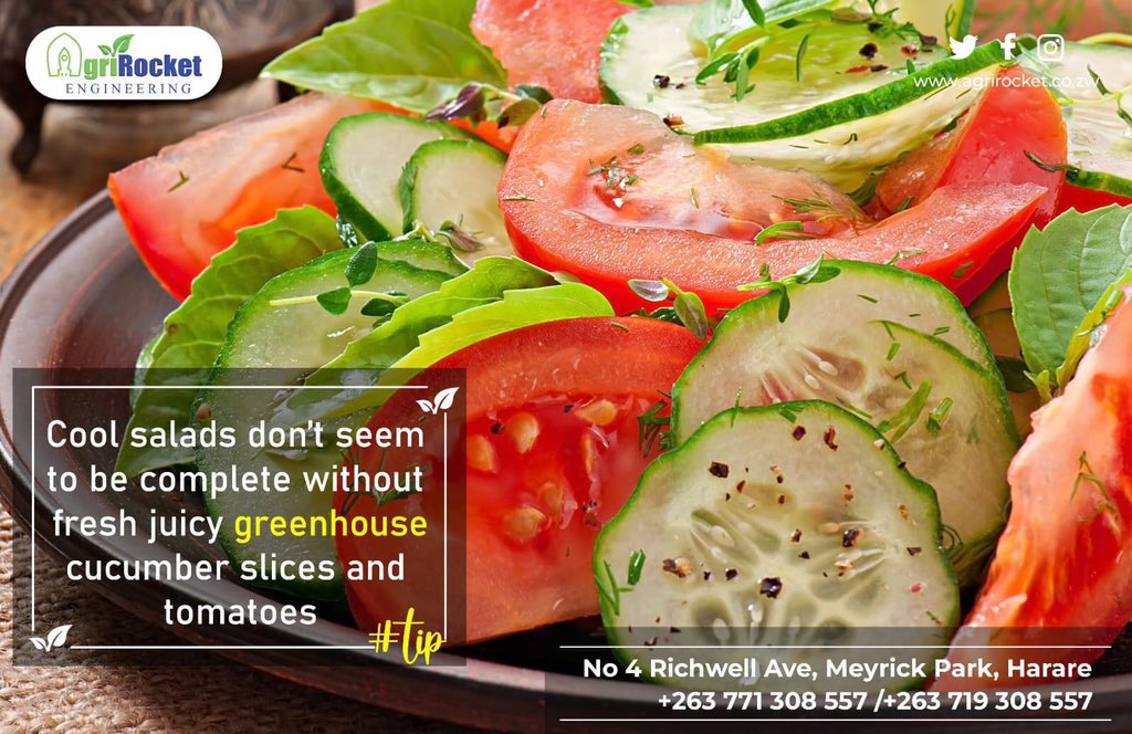 agrirocket_eng's tweet image. Cool salads don't seem to be complete without fresh and juicy cucumber and tomato slices

#greenhouse #irrigationsystem #ElNiño #BetterYield #cucumber #tomatoes
