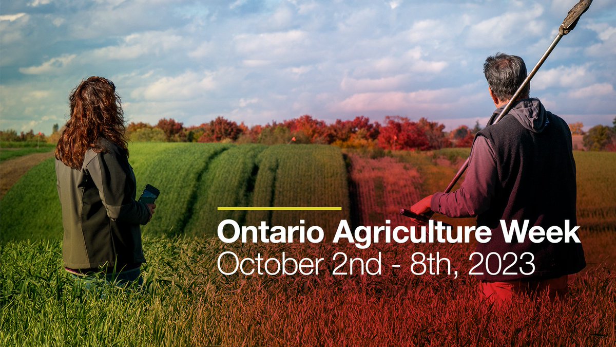 It's officially Ontario Agriculture Week! Let's celebrate the farmers, food producers, researchers and innovators that contribute to our thriving agricultural sector here in Ontario. Learn how you can support Ontario food and agriculture: bit.ly/3ZGNzMQ #OntarioAgWeek