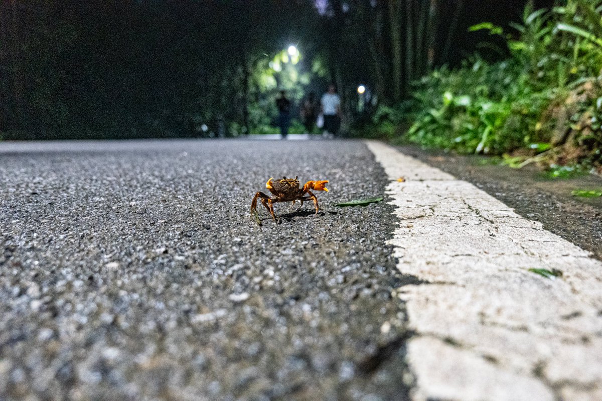 A0233200's tweet photo. -白云山奇闻-
空中掠过的飞人,
一个有路权的螃蟹,
云雾缭绕的��,
追逐日落的小鸟. https://t.co/4VonQgCqof
