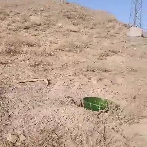 groasis's tweet image. 100 olive trees planted using Groasis Waterboxx near Khojak Top , Chaman. The Waterboxx saves 90 percent water and all the plants survived in these hot and eroded areas!
x.com/hamzashafqaat/…
#olivetree #olivegarden #khojaktop #chaman #growyourownplants #sustainableagriculture