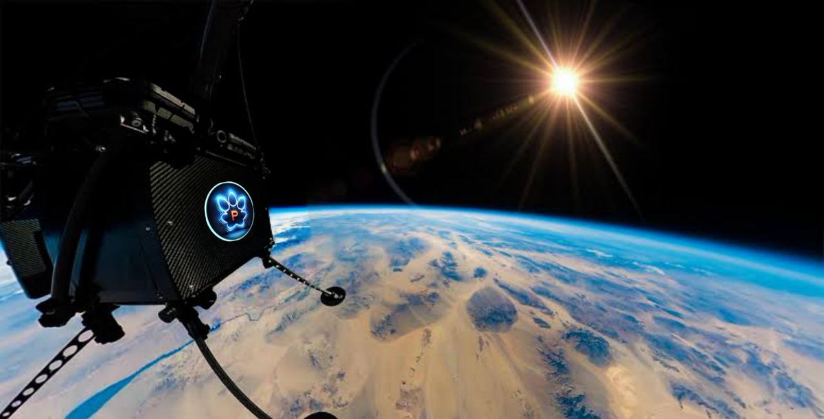 PawstarCoin's tweet photo. We are considering using @SentInto_Space to send a ledger full of #PAWSTARS into space 
Hit us up on a partnership guys

#bsc #space @elonmusk #SpaceX  #crypto @PawstarCoin #1000x https://t.co/nIBcMRXaXL