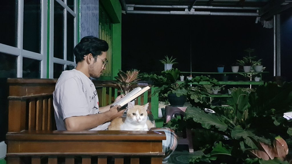 cakweeeee's tweet photo. Tugas malam, mumpung pangkuan kosong, jadi Cakwe mau menghangatkan https://t.co/KJopshdcVZ