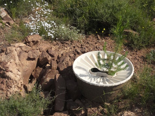 groasis's tweet image. Transforming Systems for Sustainability
To limit global warming to 1.5° Celsius and mitigate the effects of climate change, we must transform how we power our lives, grow our food etc.
Groasis developed the tools to plant trees on degraded or rocky land. 
project-syndicate.org/magazine/achie…