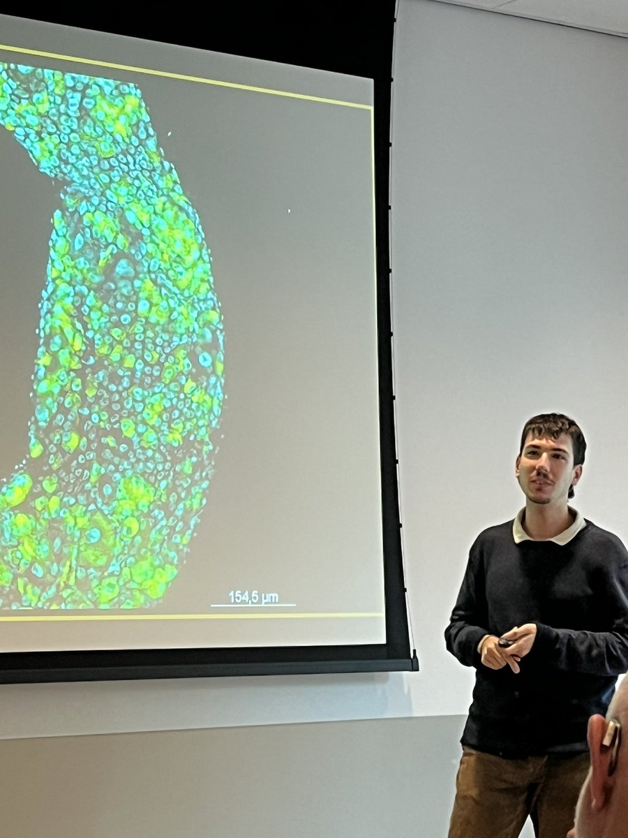 <a href="/luis_her_pel/">Luis</a> showed us some beautiful images from his work on covert RNA viruses in medfly for his PhD in the <a href="/insectdoctors/">insectdoctors</a> programme final network meeting