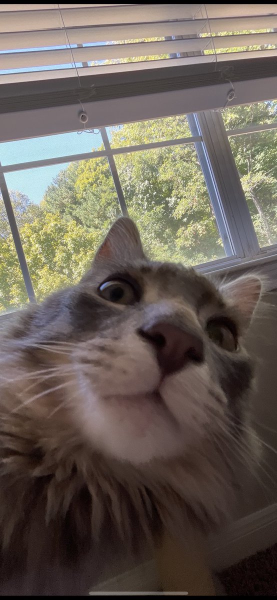 BASHFULBAI's tweet photo. some of my fav photos of gus,
happy monday https://t.co/0hLo0GO6fV