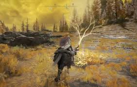 sapperEN3's tweet image. Here are mine