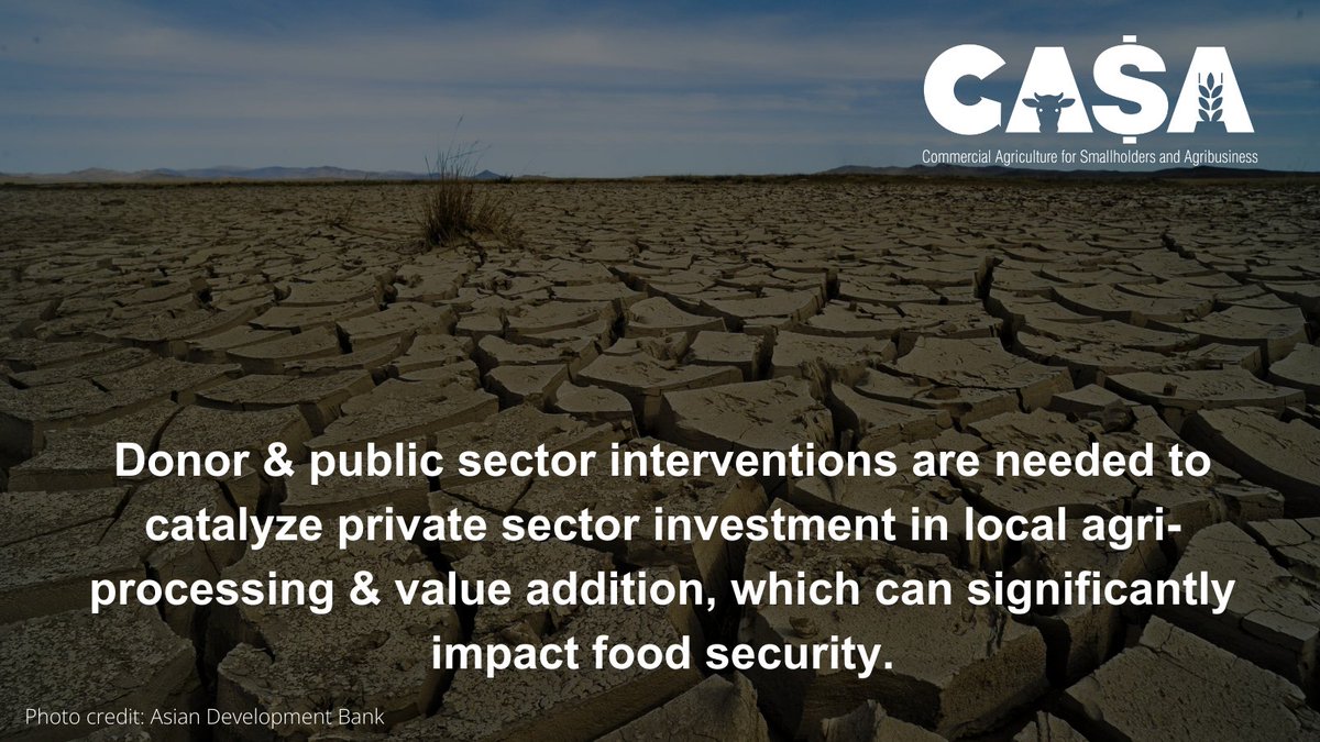 CasaProgramme's tweet image. Substantial donor & public sector support can encourage private-sector investment in local agri-processing, enhancing food security for all.
Download the latest CASA Policy brief 👇 bit.ly/food-loss-food…