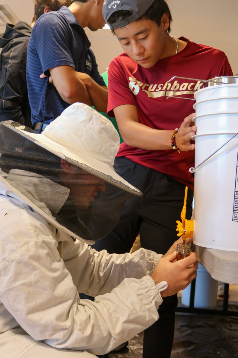 TrinityPawling's tweet photo. Beekeeping & honey extraction, survival skills, soil preparation, & solar energy education...all in a morning of Environmental Stewardship Institute activities here at Trinity-Pawling! #EthosOfEffort #ActiveLearning https://t.co/pDAHnD1FC3