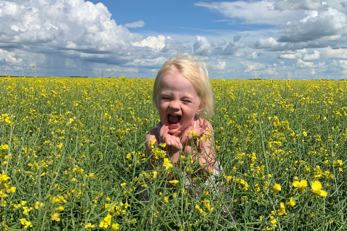Agriculture Month is a time to #CelebrateAg and the hardworking, dedicated producers in our province! This year's theme is Celebrating Our Achievements. Learn how you can participate:
farmfoodcaresk.org 

#SaskAg