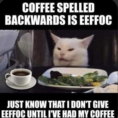 Follow me on #socialmedia Author M. L. Farrell | Linktree #author #writer #books #reader #booklover #authorsoffacebook #authorsofinstagram