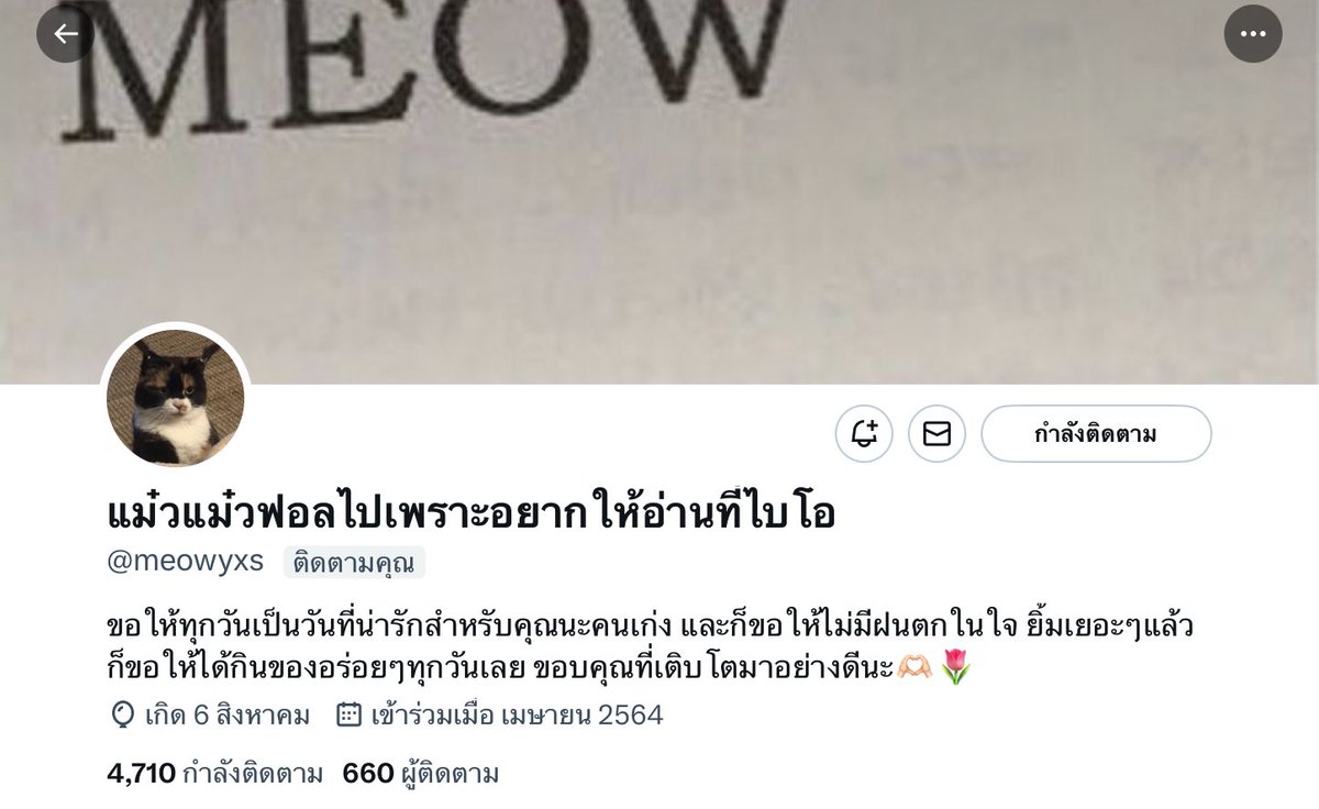 ผมก้ขอให้คุณเจ้าของแอคมีความสุขในทุกๆวัน มีรอยยิ้มที่สดใสตลอด ได้กินของอร่อยเช่นกัน🍀🫶🏻 <a href="/meowyxs/">แม๋วแม๋ว</a>