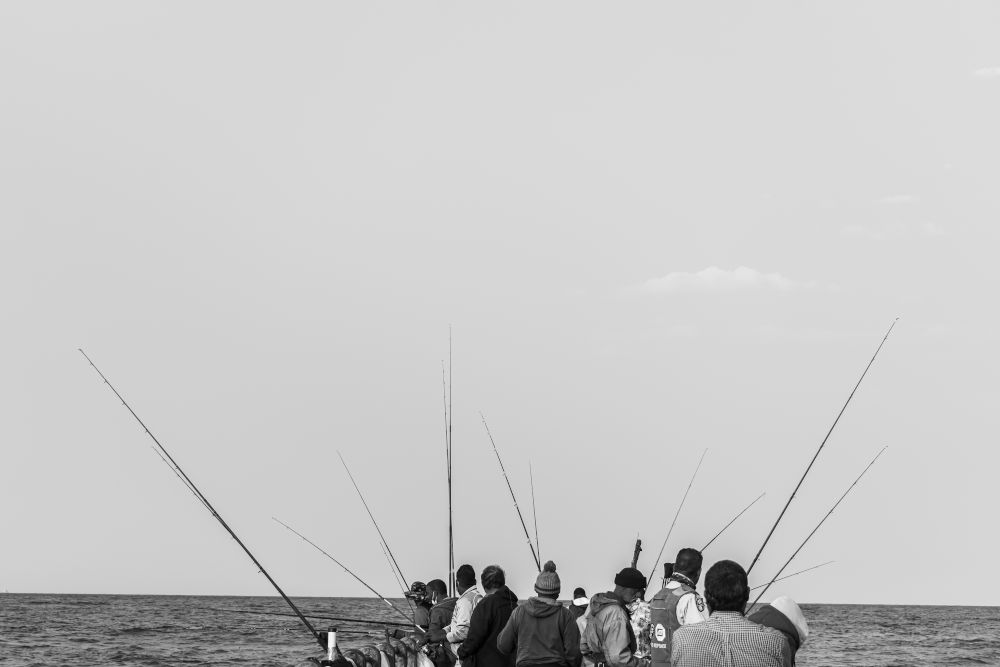 In their recently published article, Taryn Pereira (#coastaljusticenetwork) and Kira Erwin (UFC Senior Researcher) reflect on building bridges between scholars and activists, and how this complicates and enriches our knowledge. Read here: bit.ly/Surfacing-Soli…

<a href="/OneOceanHub/">One Ocean Hub</a>