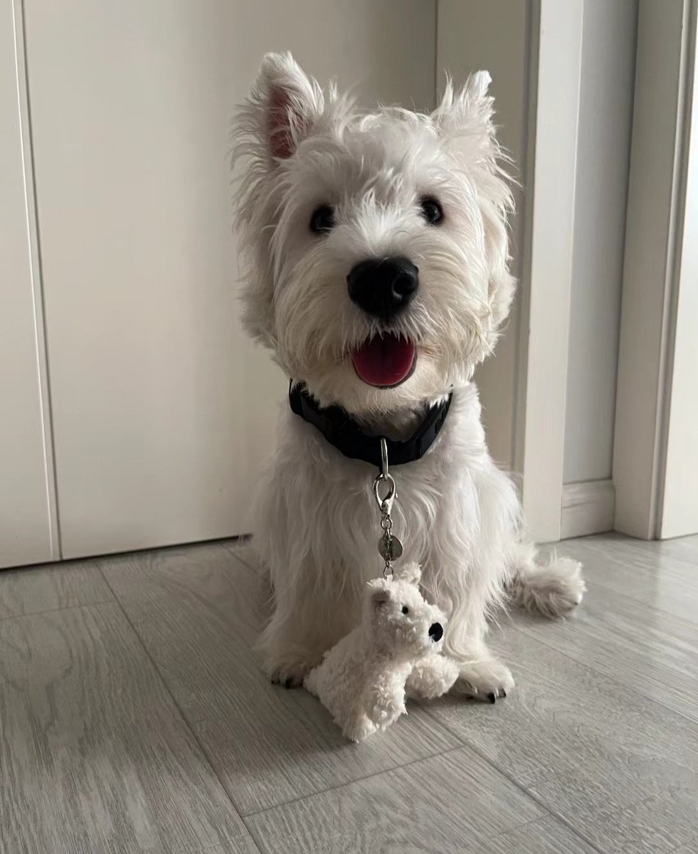 ele tá grandinho :(