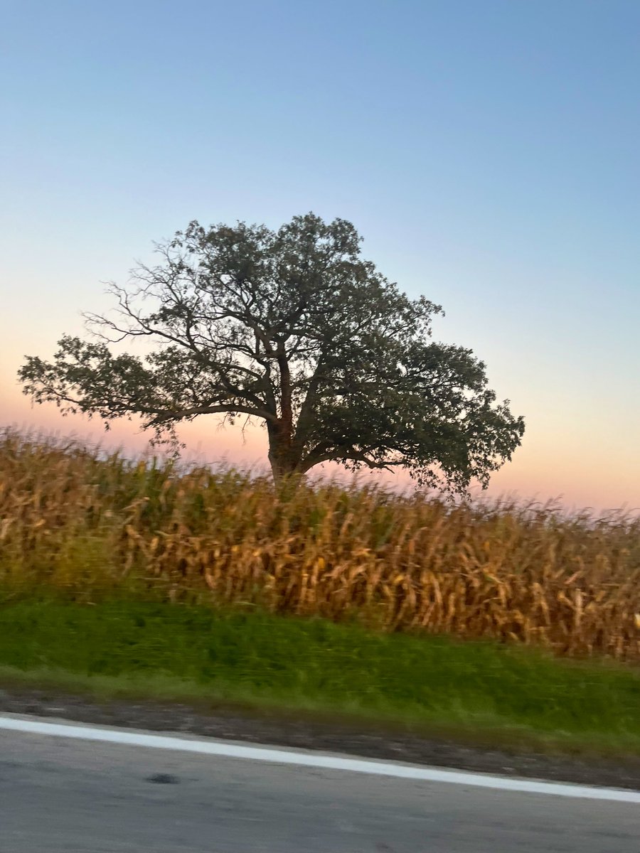 CheyenneHurley8's tweet photo. it’s my favorite time of the year🍂 https://t.co/MrcoIHgHZA