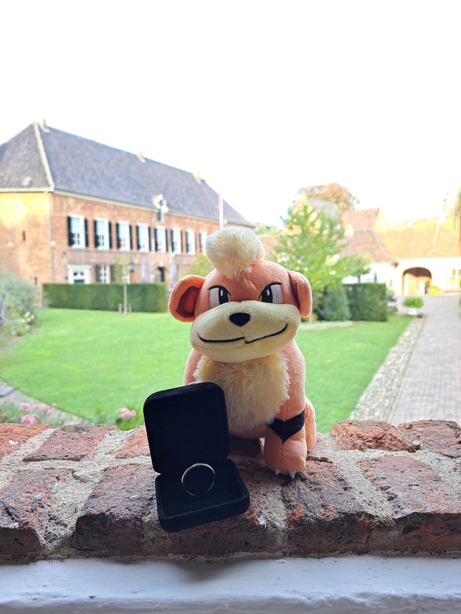 PokecenterNL's tweet photo. She said yes! Pokemon challenge completed :) #pokemon #pokecenter #Engagement #trouwen https://t.co/HnX9KME9ew