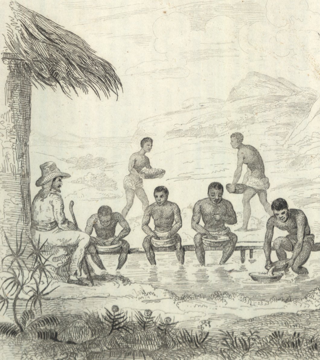 New in JSDP: Enslaved, Liberated, + Free People of Color in Brazilian Slave Society w/ articles by Cassia Roth, Mary Karasch, Kristin Mann, Urano Andrade, Ian Read, Tayná Baptista Ferreira, Kennah Watts, Joseph Mulhern, Aldair Rodrigues, Bruno Buccalon jsdp.enslaved.org/fullIssue/volu…