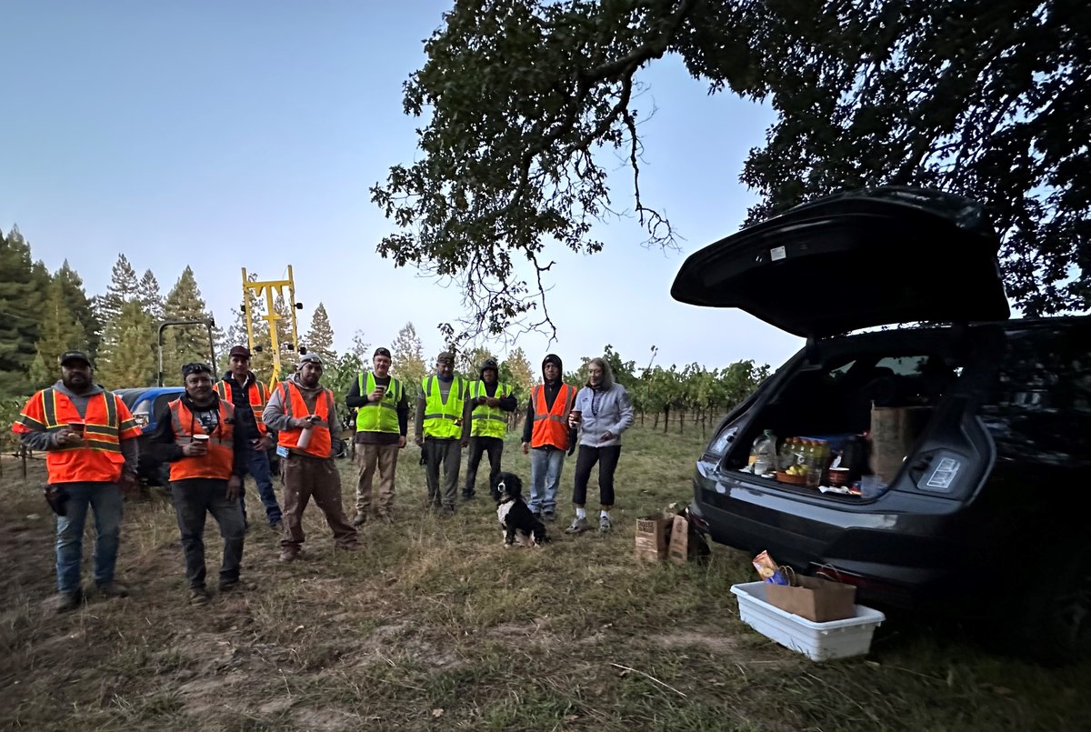 Marimar Torres tweet media