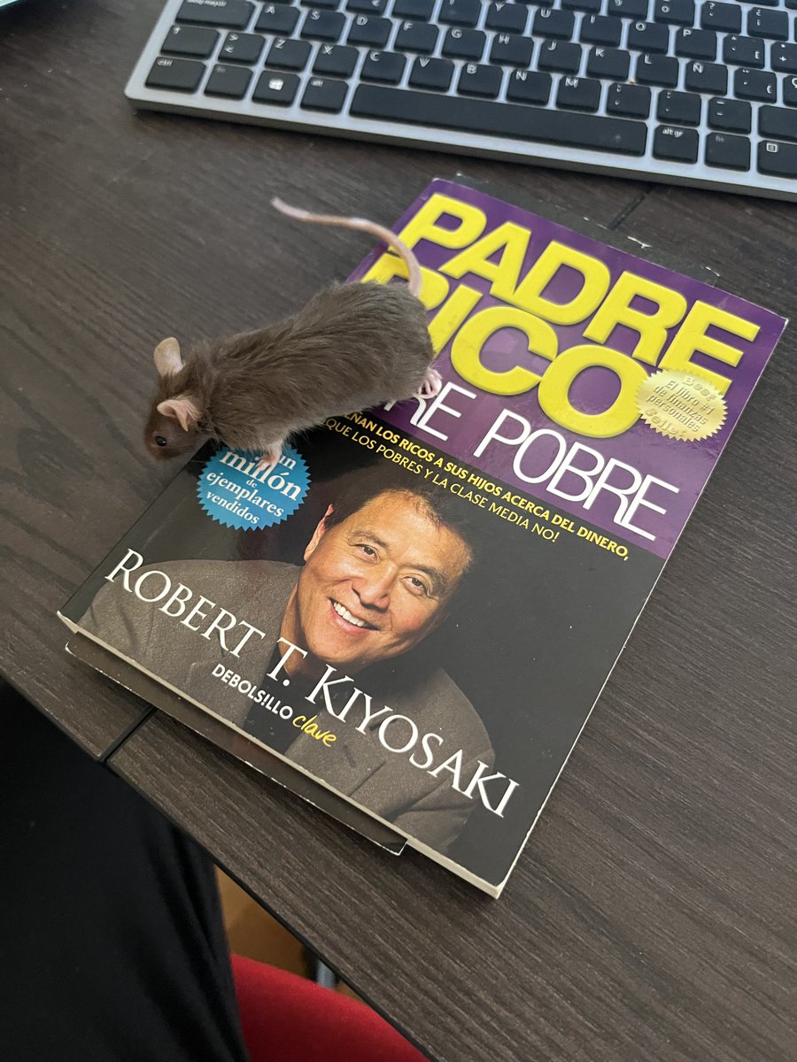 Town_Investor's tweet photo. Os quiero presentar a mi compañero inversor...  
#Praliné🐭
Todos los días quiere comprar acciones de $DIS https://t.co/Ju9gsnZ6t6
