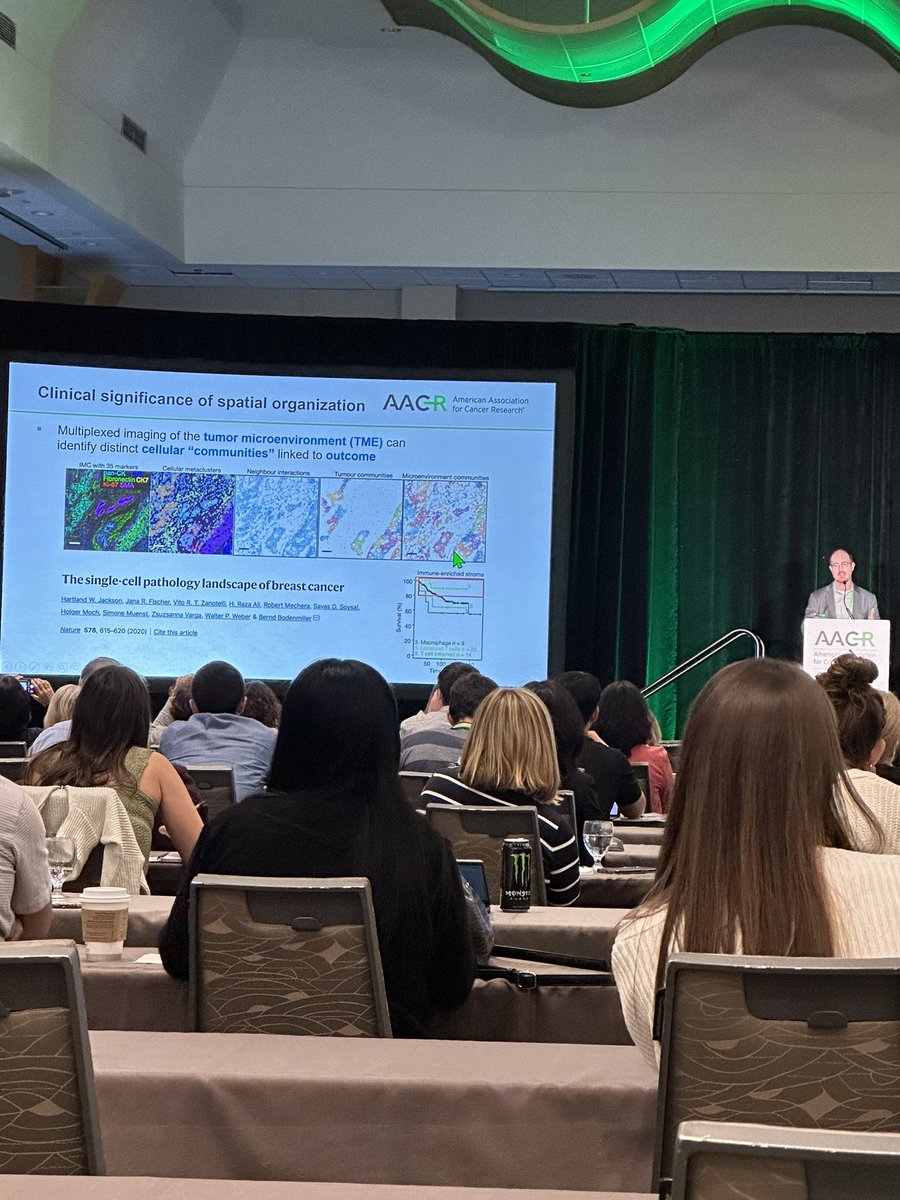 Noor Shakfa, PhD tweet media