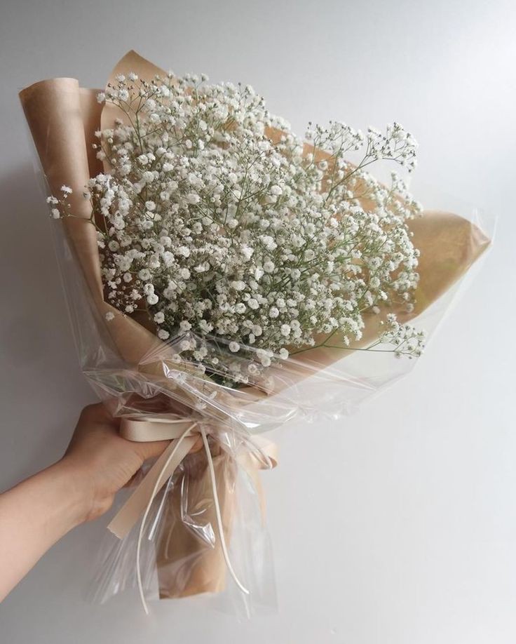seahsxts's tweet photo. ➛ @twoghostsd te han enviado un abrazo de Taylor y flores Gypsophila ¡!

te amo mi bonita, espero te gusten las flores, eres la chica más preciosa que conozco, gracias por estar a mi lado, eres más que suficiente y me hace muy feliz, + https://t.co/gC1e4T9ODK