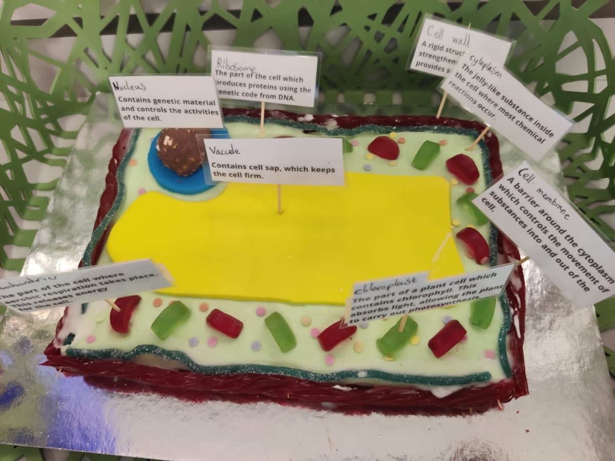 DC Science (@dcol_science) on Twitter photo #Year7 #Science <a href="/DCol_Lower/">DC Lower School</a> 7MMO have been hard at work making and presenting their model #cells <a href="/CenterOfTheCell/">Nucleus </a> #oracy <a href="/voice21oracy/">Voice 21 Oracy</a> <a href="/DCol_OracyHub/">Dubai Oracy Hub 💬🗣💭👥</a> #Year7 #Science <a href="/DCol_Lower/">DC Lower School</a> 7MMO have been hard at work making and presenting their model #cells <a href="/CenterOfTheCell/">Nucleus </a> #oracy <a href="/voice21oracy/">Voice 21 Oracy</a> <a href="/DCol_OracyHub/">Dubai Oracy Hub 💬🗣💭👥</a>