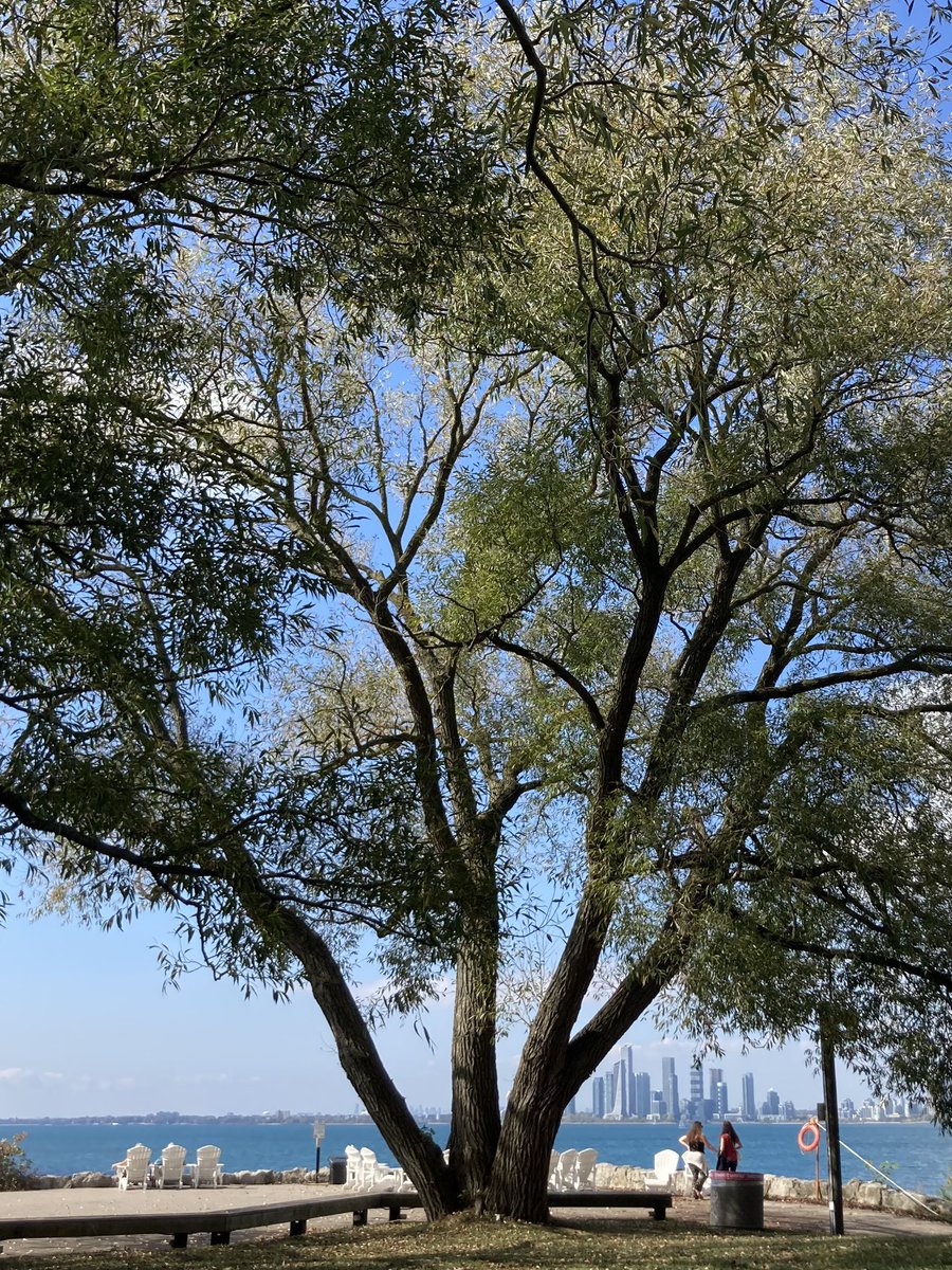 g_meslin's tweet image. 1 of 850