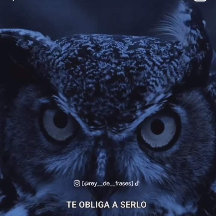 zonagusin's tweet photo. #NuevaFotoDePerfil https://t.co/JZN2HdziMA