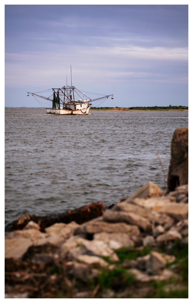 Heading out for the evening. Apalachicola, FL yesterday.