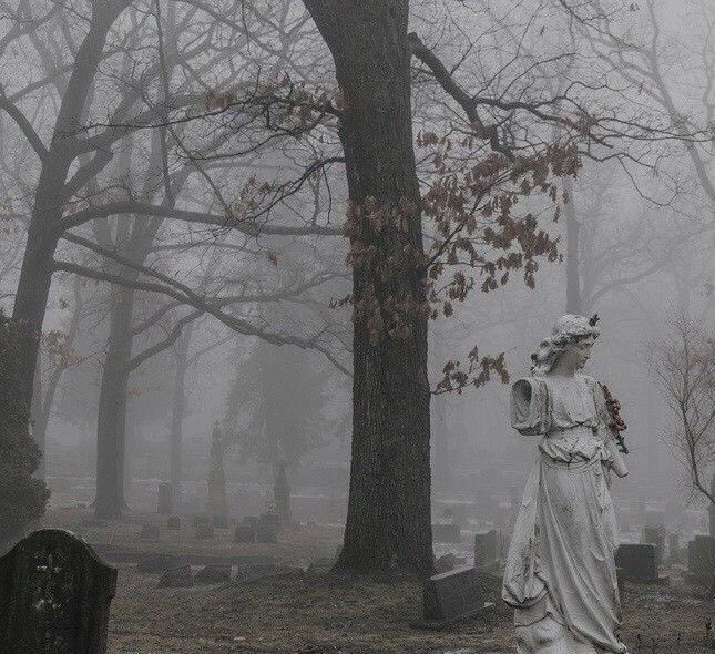 cnostellation's tweet photo. ️ ️ ️ 

 #SPOOCTOBER23 
 𝐞𝐩𝐢𝐬𝐨𝐝𝐞  [𝟎𝟏] : 
 SORROW’S   SOLACE. 
️ ️ ️ 
️ ️ ️ https://t.co/BalA26pQio