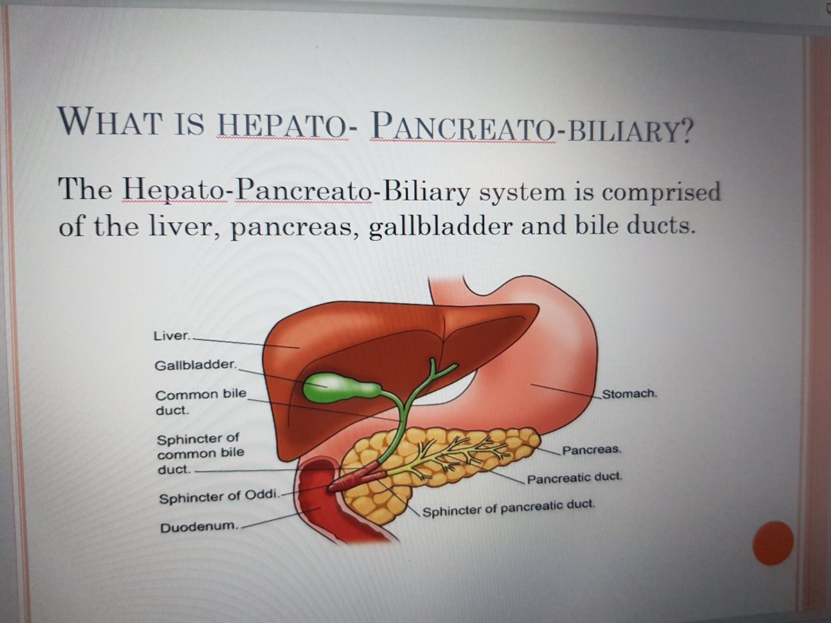 sinygeorge3's tweet photo. Gastroenterology Education Day for Nurses.
Today we had another successful  gastro training day. A huge thanks to all speakers and participants to make the day interactive and engaging. Looking forward for our next intake in March 2024. https://t.co/50ujLCxJhK