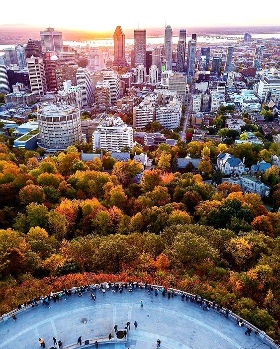 3 choses à savoir sur le Québec :

1/ En automne, les arbres brillent de mille couleurs. C'est magnifique !

2/ À Montréal, le festival "en Lumière" est top : Musique, lumières, on se marre, on danse !

3/ Faut absolument goûter la tire d'érable --> un délice cette spécialité.