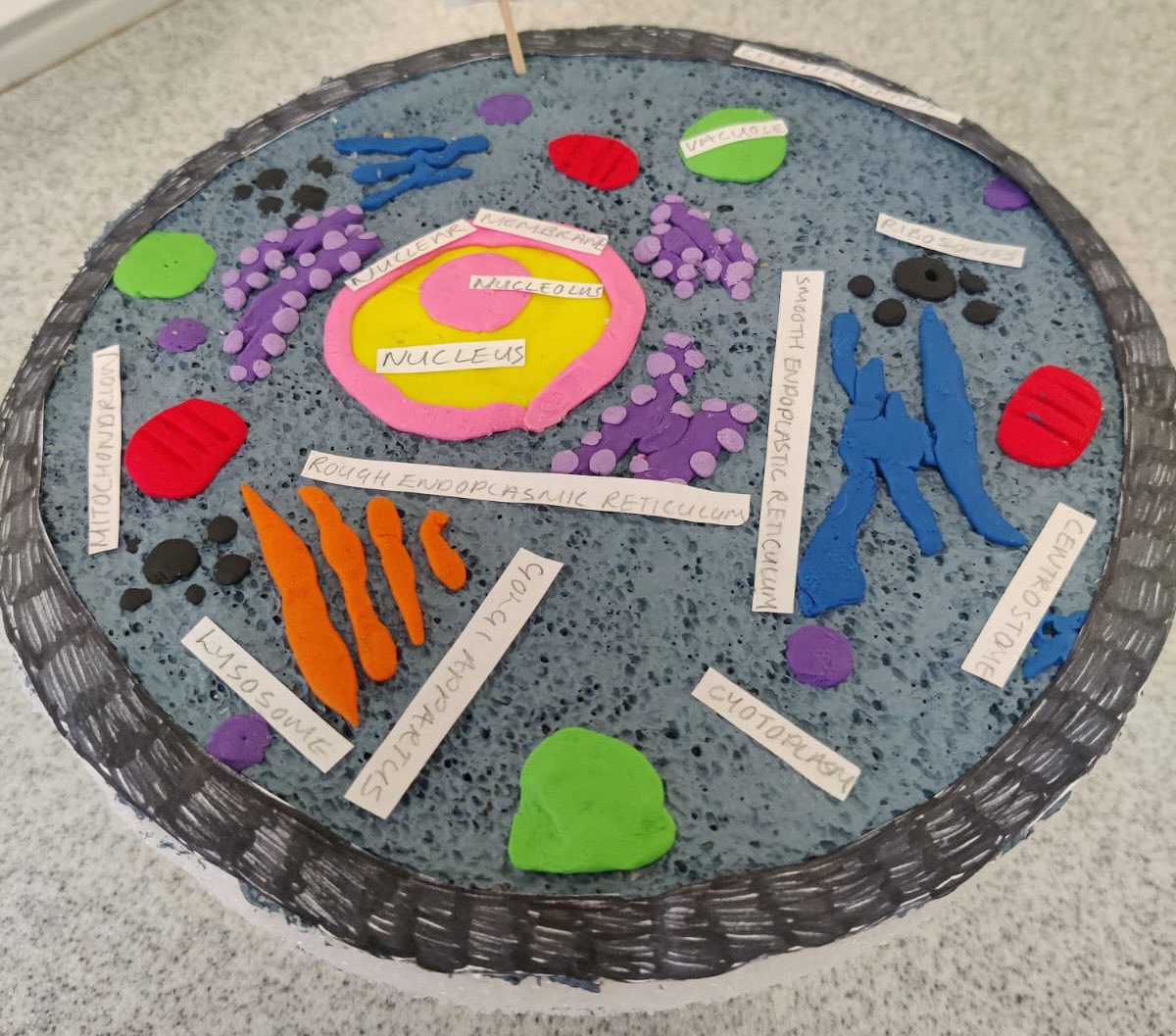 DC Science tweet media