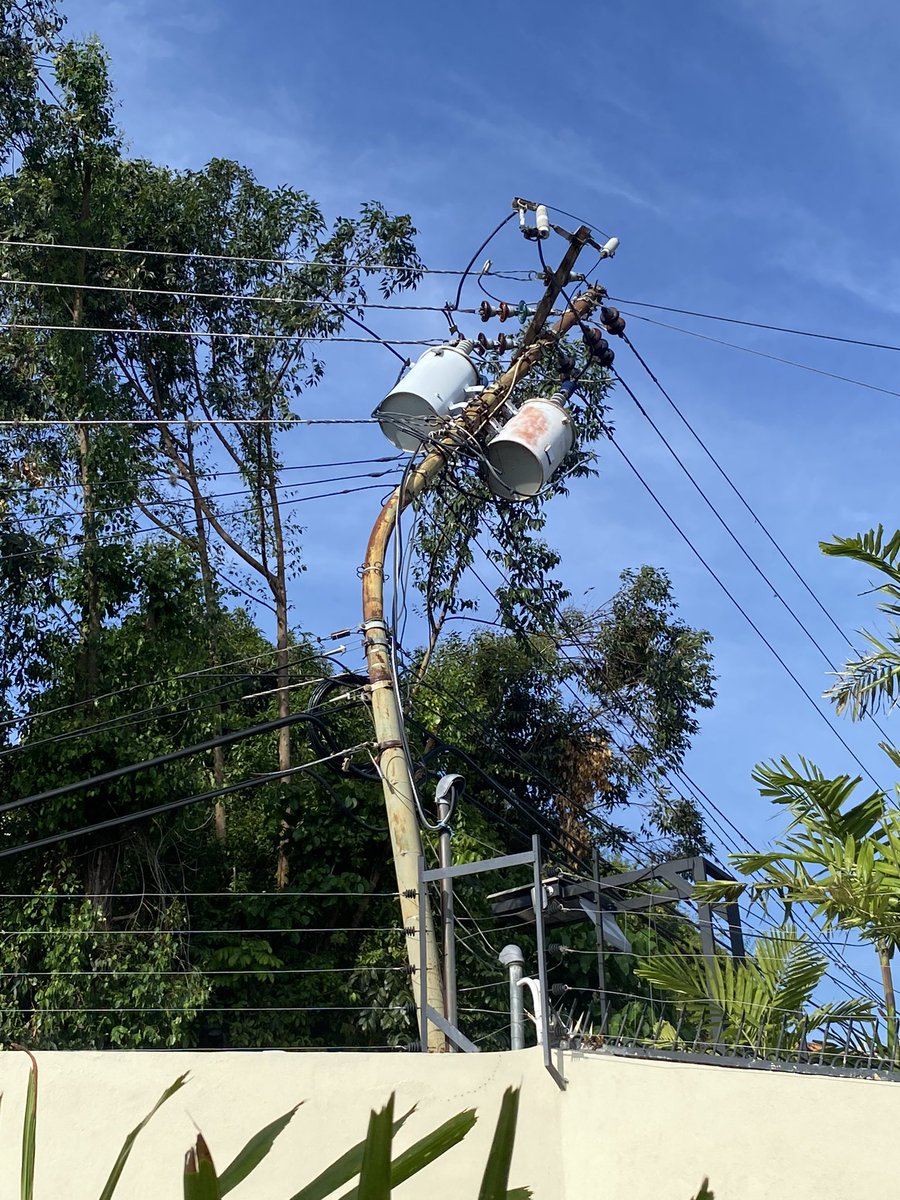 Philipp Scheer tweet media