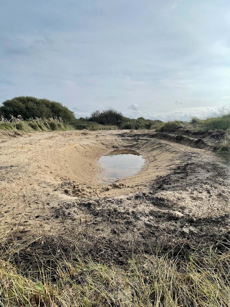 New homes for toads
Sold as seen comes with 
Nutrient neutrality and biodiversity net gain FOC 
#WorldHabitatDay