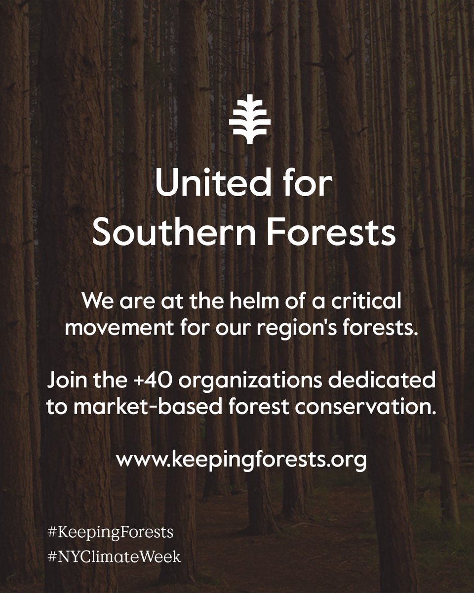 🌲 Southern forests are some of the planet’s hardest workers. They sustain our economy and quality of life. They keep our air and water pure. They offer us space to delight in nature. Because we all depend on forests, everyone must ensure they prosper. #NYClimateWeek