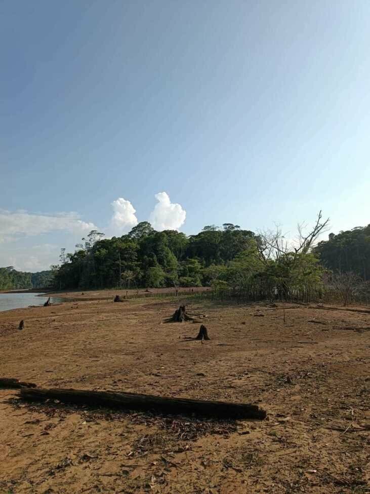 38,8 °C : record de chaleur historique battu à Saint-Laurent ➡️ l.franceguyane.fr/LQ