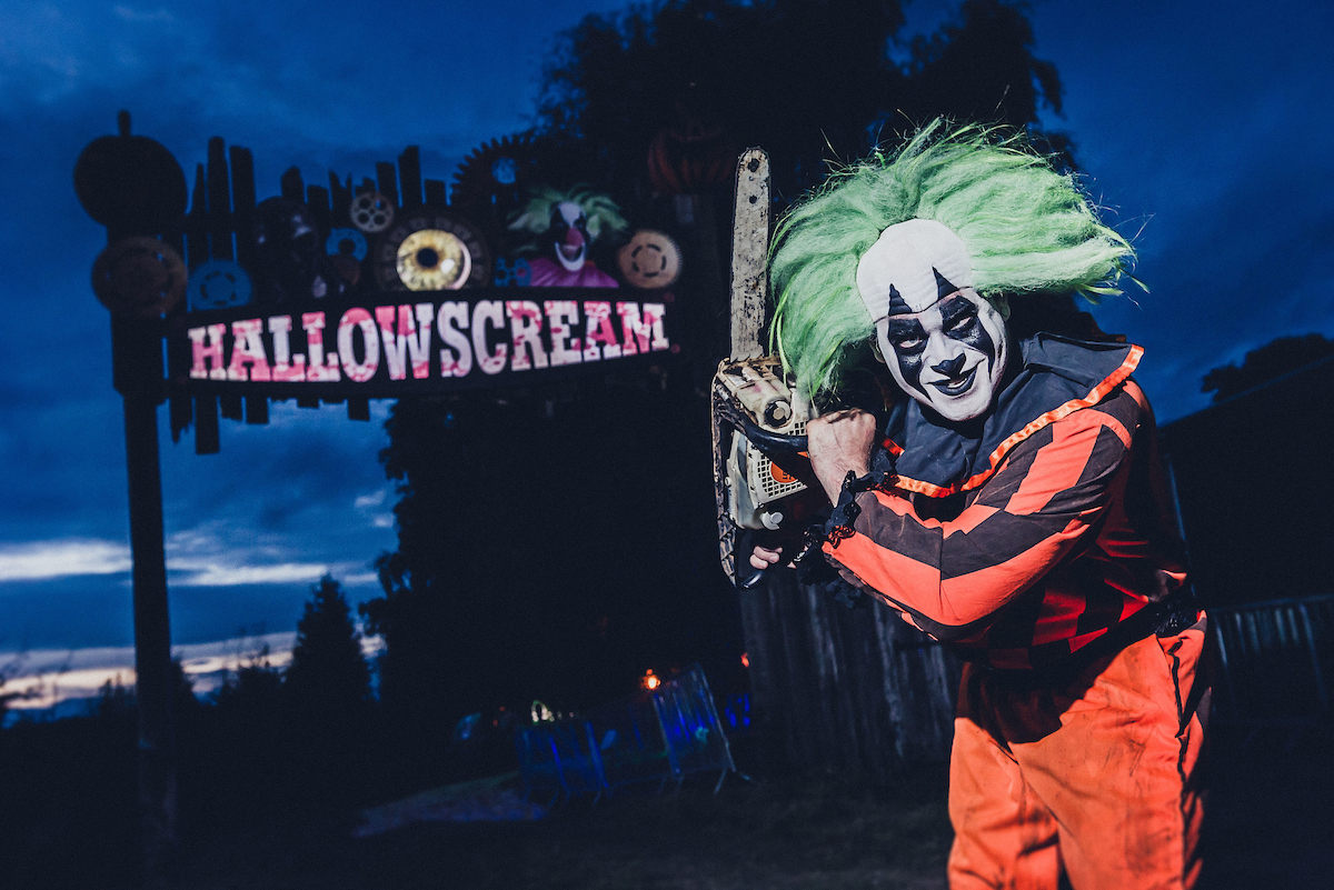 Your Experience Guide tweet media