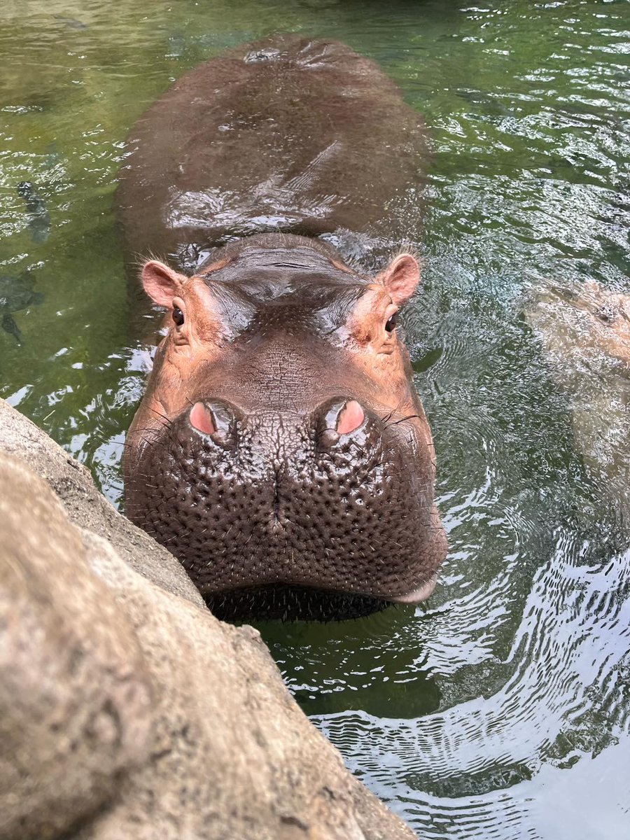 Fiona here to help get you through Monday!