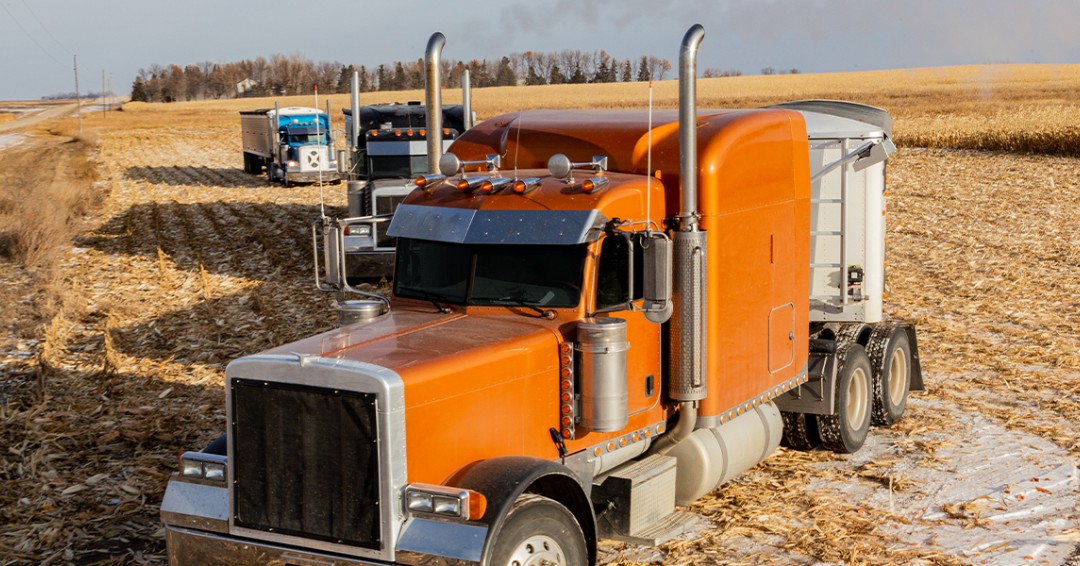 agricoverinc's tweet image. Who&apos;s on your harvest crew? #ROLTEC #ELECTRICCONVERSION

#AGRICOVERSolutions #AGRICOVERRollTarps #rolltarps #trailer #tarp #trucking #hauling #truckingindustry #semitrailers #ontheroad #lastloadoftheday #hauling #rolltarp #agriculture