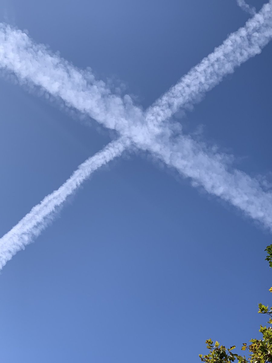 Shayne Ramsay (@shayneramsay) on Twitter photo 