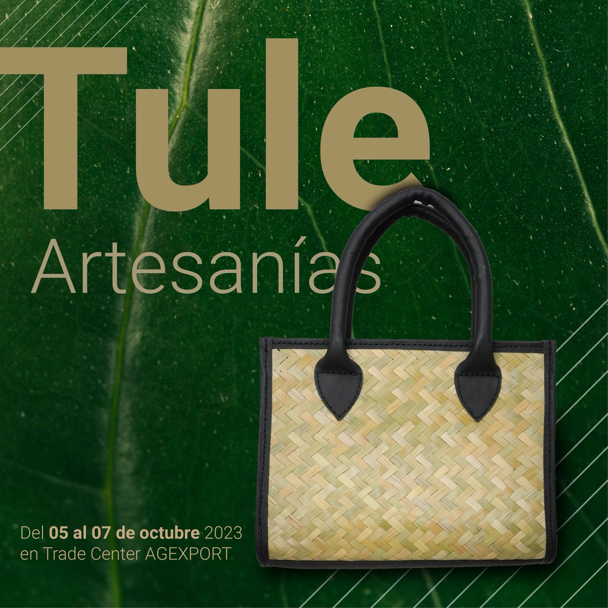 Alianzas AGEXPORT tweet media