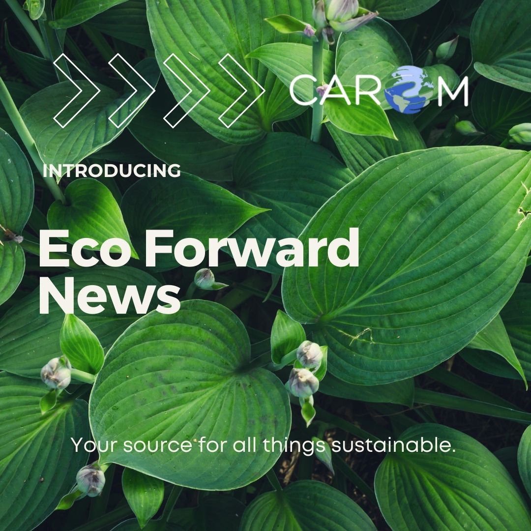 🌿 Embrace a Greener Future! Join us in the Eco Forward Movement 🌍♻️

Discover the latest sustainable innovations and our eco-friendly tips. Together, we can make a difference! 🌱🌟 

#caromcares #ecoforward #sustainabilityrevolution #greenliving #planetfirst #gogreentoday'