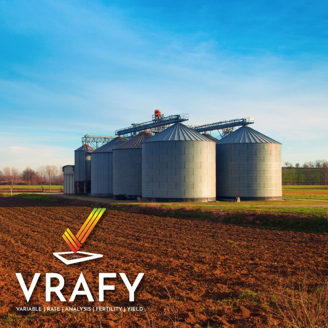 VRAFY tweet media