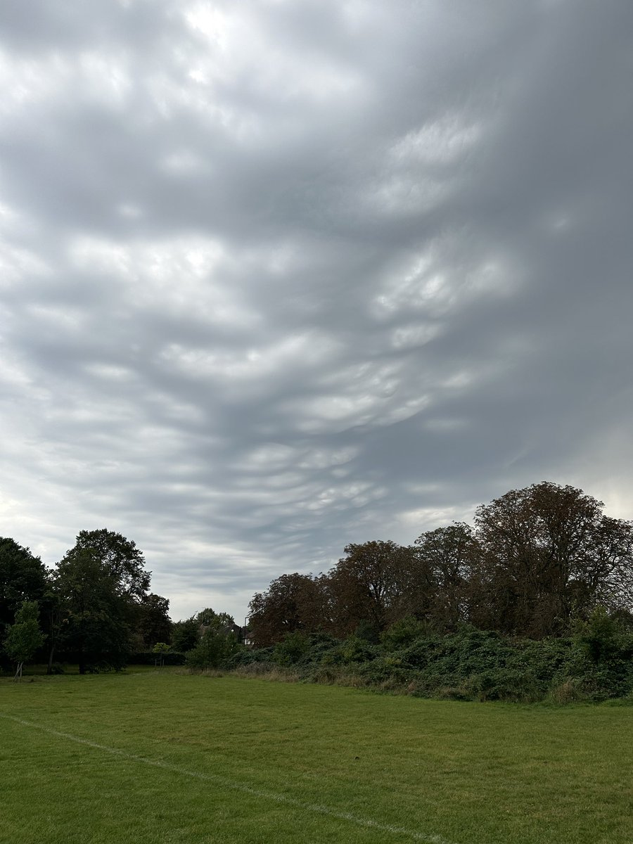 Peter Leonard tweet media