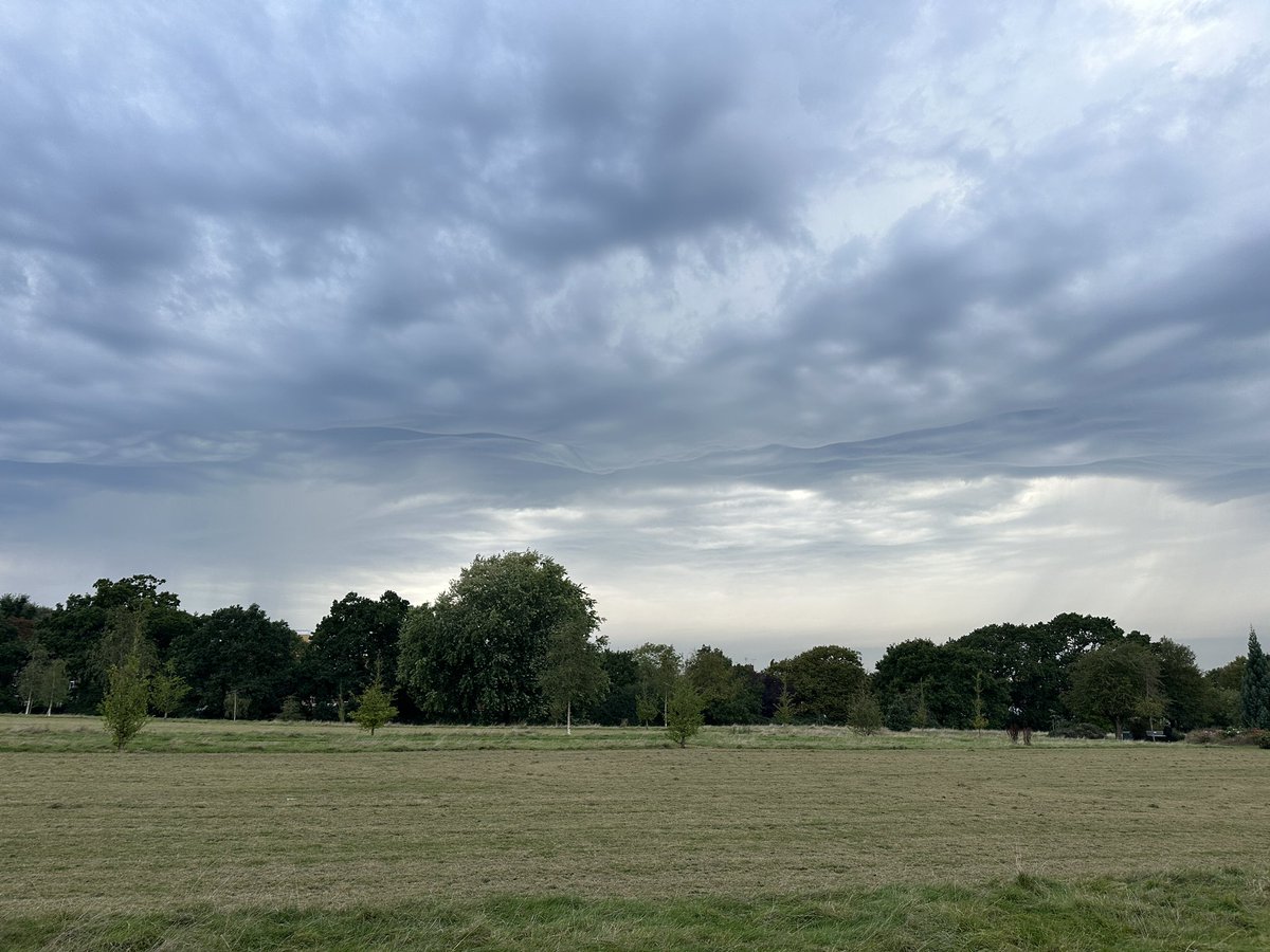 Peter Leonard tweet media